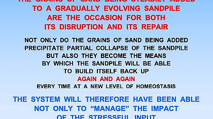 WEEK 1 Part 3 – The Sandpile Model